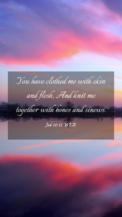 Picture 03 - Job 10:11 WEB Mobile Phone Wallpaper - You have clothed me with skin and flesh, And knit - Mobile Bible Verse Wallpaper