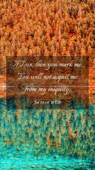Picture 03 - Job 10:14 WEB Mobile Phone Wallpaper - If I sin, then you mark me. You will not acquit - Mobile Bible Verse Wallpaper
