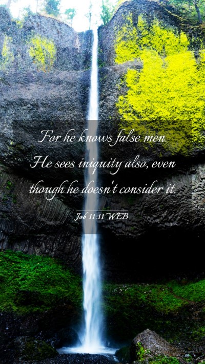 Picture 03 - Job 11:11 WEB Mobile Phone Wallpaper - For he knows false men. He sees iniquity also, - Mobile Bible Verse Wallpaper