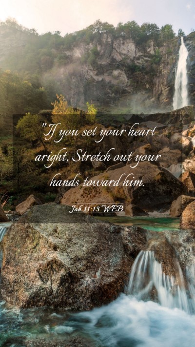 Picture 03 - Job 11:13 WEB Mobile Phone Wallpaper - 
