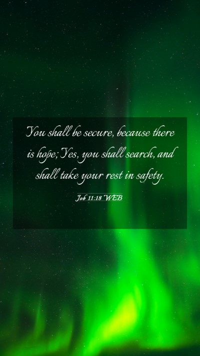 Picture 03 - Job 11:18 WEB Mobile Phone Wallpaper - You shall be secure, because there is hope; Yes, - Mobile Bible Verse Wallpaper