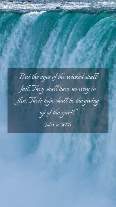 Picture 03 - Job 11:20 WEB Mobile Phone Wallpaper - But the eyes of the wicked shall fail, They shall - Mobile Bible Verse Wallpaper