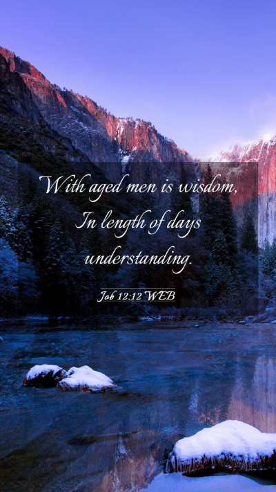 Picture 03 - Job 12:12 WEB Mobile Phone Wallpaper - With aged men is wisdom, In length of days - Mobile Bible Verse Wallpaper
