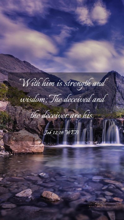 Picture 03 - Job 12:16 WEB Mobile Phone Wallpaper - With him is strength and wisdom; The deceived and - Mobile Bible Verse Wallpaper