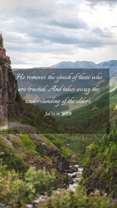 Picture 03 - Job 12:20 WEB Mobile Phone Wallpaper - He removes the speech of those who are trusted, - Mobile Bible Verse Wallpaper