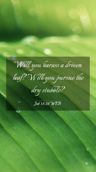 Picture 03 - Job 13:25 WEB Mobile Phone Wallpaper - Will you harass a driven leaf? Will you pursue - Mobile Bible Verse Wallpaper