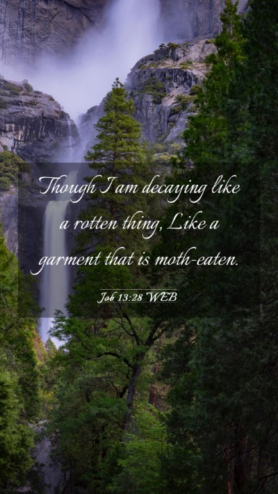 Picture 03 - Job 13:28 WEB Mobile Phone Wallpaper - Though I am decaying like a rotten thing, Like a - Mobile Bible Verse Wallpaper