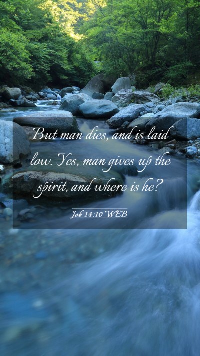 Picture 03 - Job 14:10 WEB Mobile Phone Wallpaper - But man dies, and is laid low. Yes, man gives up - Mobile Bible Verse Wallpaper