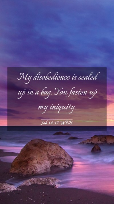 Picture 03 - Job 14:17 WEB Mobile Phone Wallpaper - My disobedience is sealed up in a bag. You fasten - Mobile Bible Verse Wallpaper