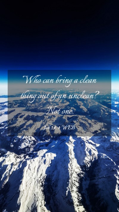 Picture 03 - Job 14:4 WEB Mobile Phone Wallpaper - Who can bring a clean thing out of an unclean? - Mobile Bible Verse Wallpaper