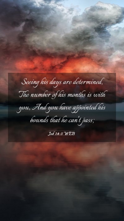 Picture 03 - Job 14:5 WEB Mobile Phone Wallpaper - Seeing his days are determined, The number of his - Mobile Bible Verse Wallpaper