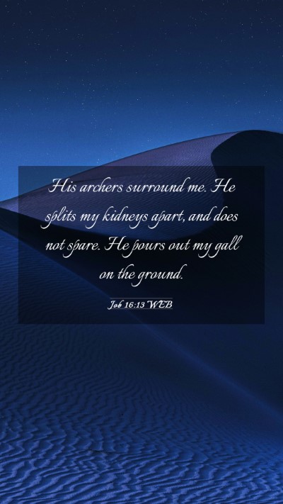 Picture 03 - Job 16:13 WEB Mobile Phone Wallpaper - His archers surround me. He splits my kidneys - Mobile Bible Verse Wallpaper