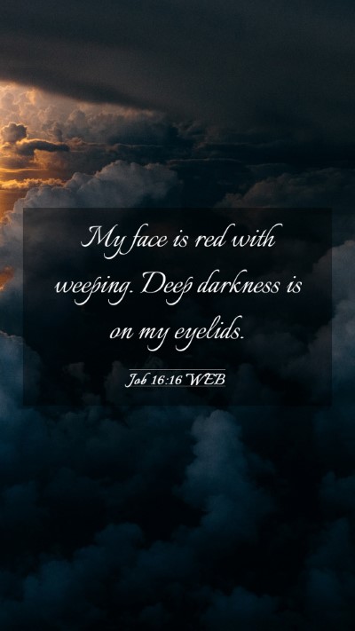 Picture 03 - Job 16:16 WEB Mobile Phone Wallpaper - My face is red with weeping. Deep darkness is on - Mobile Bible Verse Wallpaper