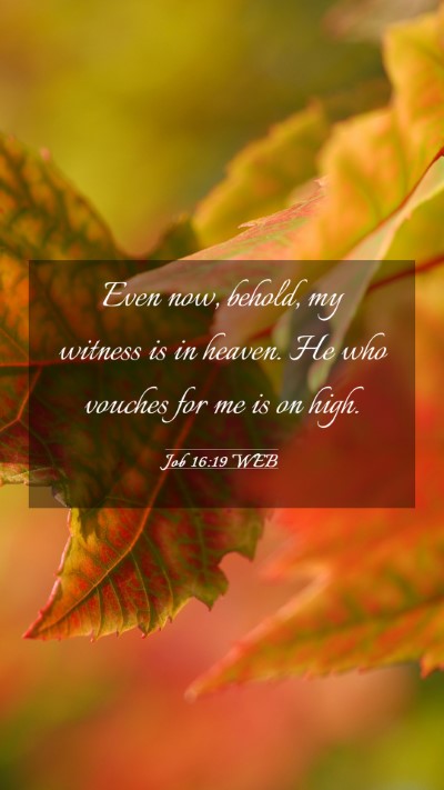 Picture 03 - Job 16:19 WEB Mobile Phone Wallpaper - Even now, behold, my witness is in heaven. He who - Mobile Bible Verse Wallpaper