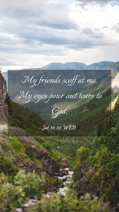 Picture 03 - Job 16:20 WEB Mobile Phone Wallpaper - My friends scoff at me. My eyes pour out tears to - Mobile Bible Verse Wallpaper