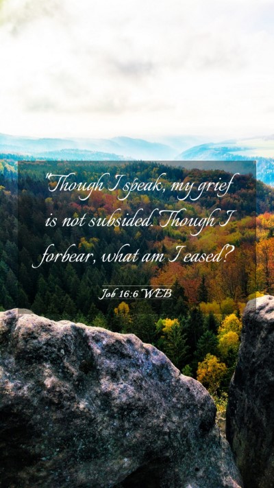 Picture 03 - Job 16:6 WEB Mobile Phone Wallpaper - 