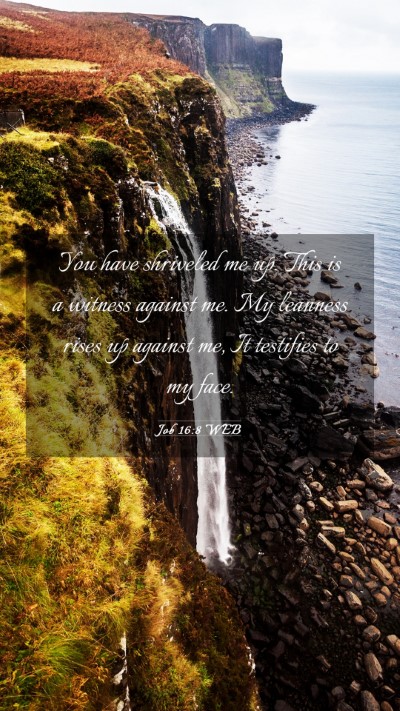 Picture 03 - Job 16:8 WEB Mobile Phone Wallpaper - You have shriveled me up. This is a witness - Mobile Bible Verse Wallpaper