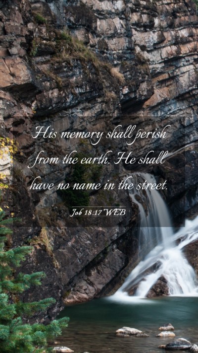 Picture 03 - Job 18:17 WEB Mobile Phone Wallpaper - His memory shall perish from the earth. He shall - Mobile Bible Verse Wallpaper