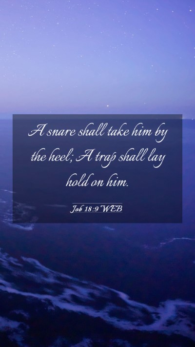 Picture 03 - Job 18:9 WEB Mobile Phone Wallpaper - A snare shall take him by the heel; A trap shall - Mobile Bible Verse Wallpaper