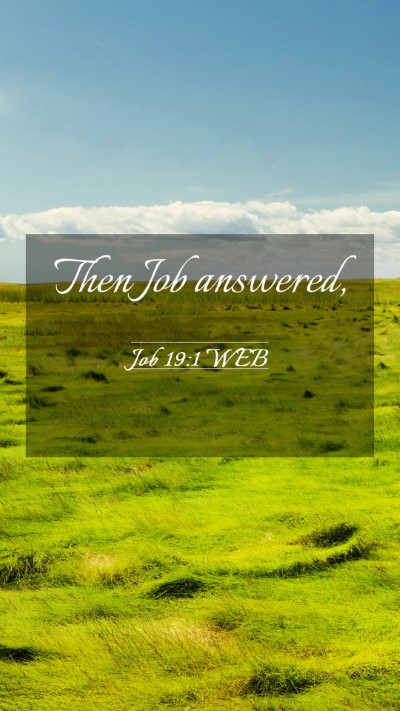 Picture 03 - Job 19:1 WEB Mobile Phone Wallpaper - Then Job - Mobile Bible Verse Wallpaper
