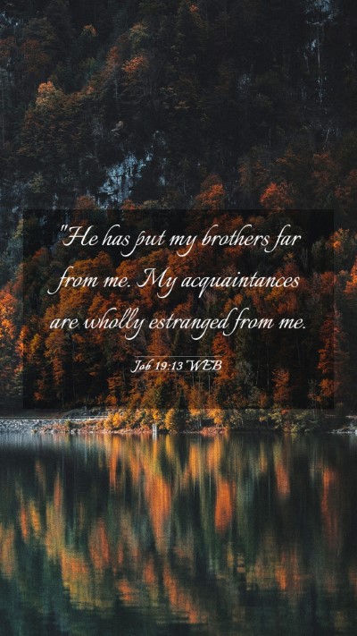 Picture 03 - Job 19:13 WEB Mobile Phone Wallpaper - 