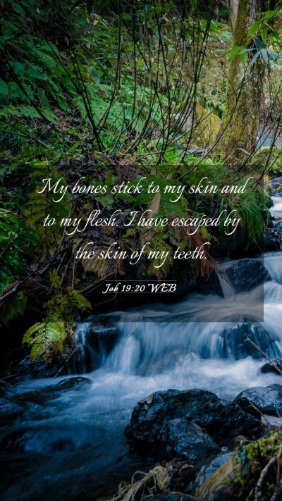 Picture 03 - Job 19:20 WEB Mobile Phone Wallpaper - My bones stick to my skin and to my flesh. I have - Mobile Bible Verse Wallpaper