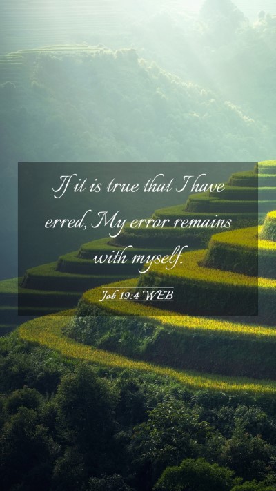 Picture 03 - Job 19:4 WEB Mobile Phone Wallpaper - If it is true that I have erred, My error remains - Mobile Bible Verse Wallpaper