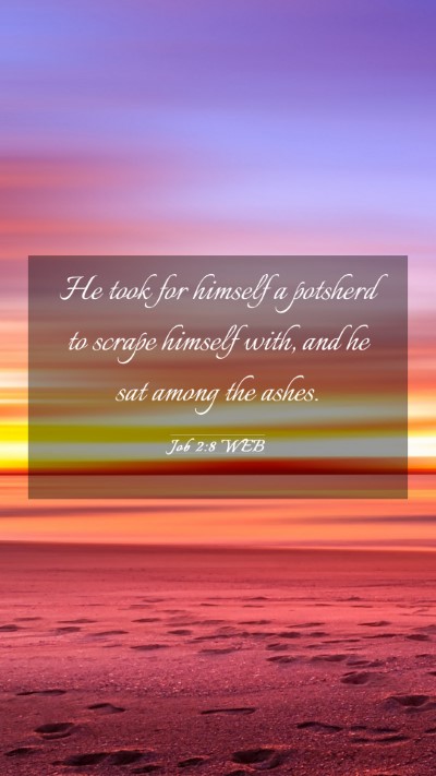 Picture 03 - Job 2:8 WEB Mobile Phone Wallpaper - He took for himself a potsherd to scrape himself - Mobile Bible Verse Wallpaper