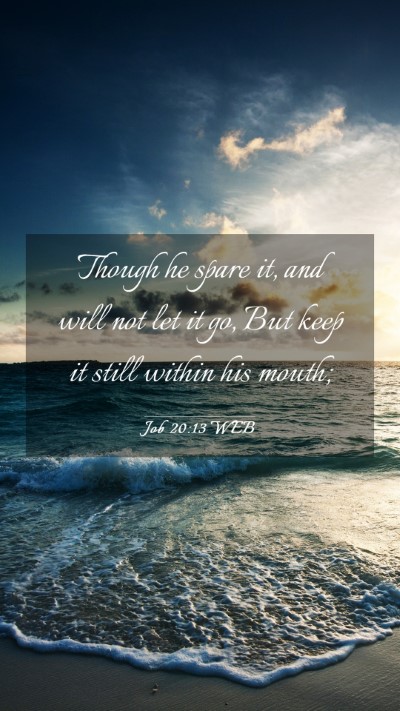 Picture 03 - Job 20:13 WEB Mobile Phone Wallpaper - Though he spare it, and will not let it go, But - Mobile Bible Verse Wallpaper