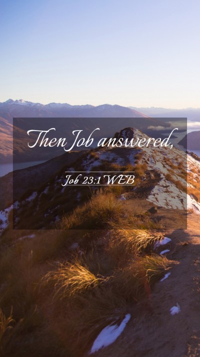 Picture 03 - Job 23:1 WEB Mobile Phone Wallpaper - Then Job - Mobile Bible Verse Wallpaper