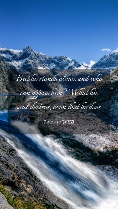 Picture 03 - Job 23:13 WEB Mobile Phone Wallpaper - But he stands alone, and who can oppose him? What - Mobile Bible Verse Wallpaper