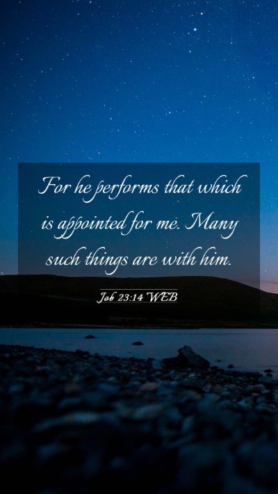 Picture 03 - Job 23:14 WEB Mobile Phone Wallpaper - For he performs that which is appointed for me. - Mobile Bible Verse Wallpaper