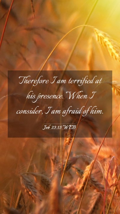 Picture 03 - Job 23:15 WEB Mobile Phone Wallpaper - Therefore I am terrified at his presence. When I - Mobile Bible Verse Wallpaper