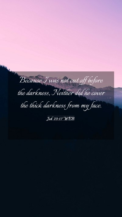 Picture 03 - Job 23:17 WEB Mobile Phone Wallpaper - Because I was not cut off before the darkness, - Mobile Bible Verse Wallpaper