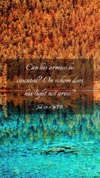 Picture 03 - Job 25:3 WEB Mobile Phone Wallpaper - Can his armies be counted? On whom does his light - Mobile Bible Verse Wallpaper