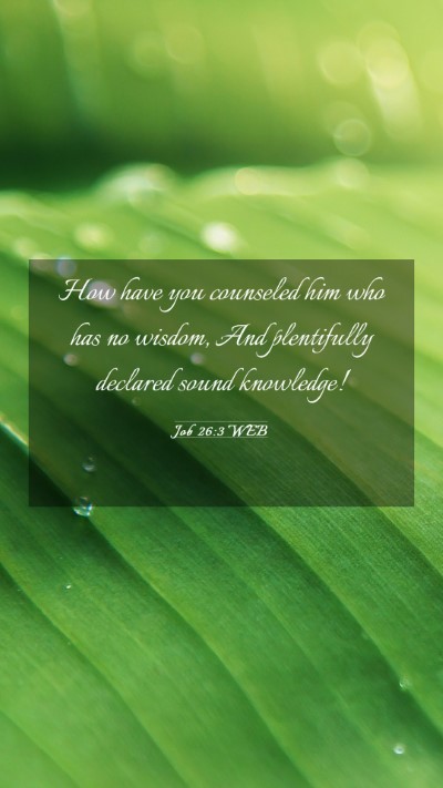 Picture 03 - Job 26:3 WEB Mobile Phone Wallpaper - How have you counseled him who has no wisdom, And - Mobile Bible Verse Wallpaper