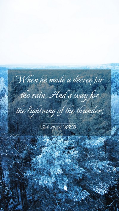 Picture 03 - Job 28:26 WEB Mobile Phone Wallpaper - When he made a decree for the rain, And a way for - Mobile Bible Verse Wallpaper