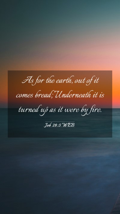 Picture 03 - Job 28:5 WEB Mobile Phone Wallpaper - As for the earth, out of it comes bread; - Mobile Bible Verse Wallpaper