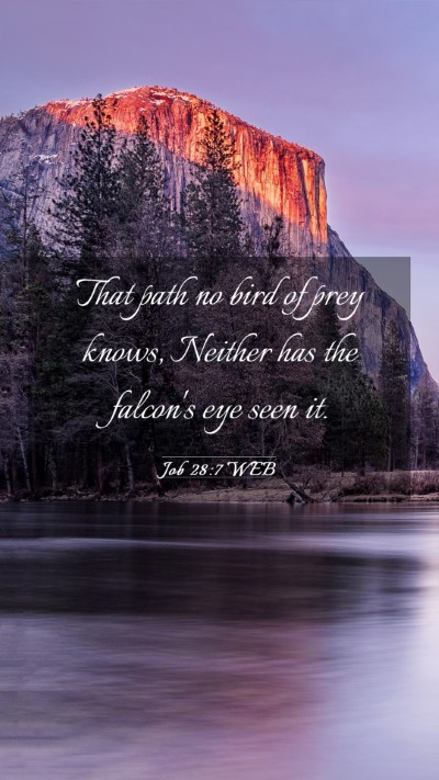 Picture 03 - Job 28:7 WEB Mobile Phone Wallpaper - That path no bird of prey knows, Neither has the - Mobile Bible Verse Wallpaper