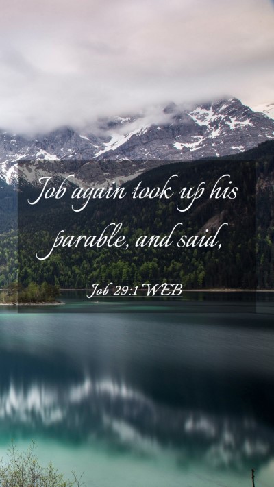 Picture 03 - Job 29:1 WEB Mobile Phone Wallpaper - Job again took up his parable, and - Mobile Bible Verse Wallpaper