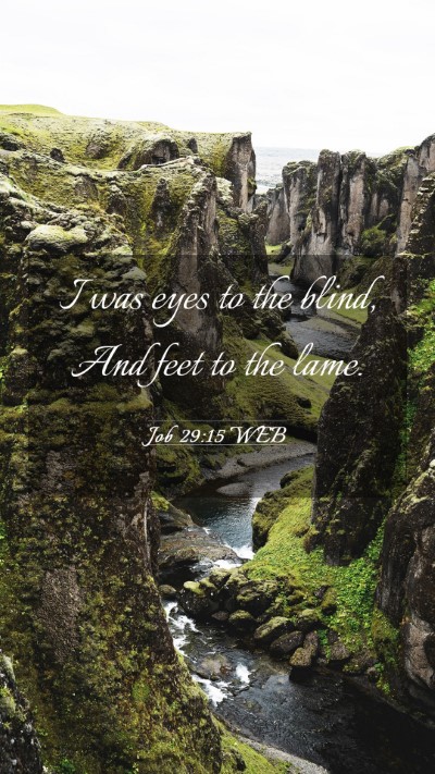 Picture 03 - Job 29:15 WEB Mobile Phone Wallpaper - I was eyes to the blind, And feet to the - Mobile Bible Verse Wallpaper