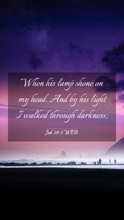 Picture 03 - Job 29:3 WEB Mobile Phone Wallpaper - When his lamp shone on my head, And by his light - Mobile Bible Verse Wallpaper