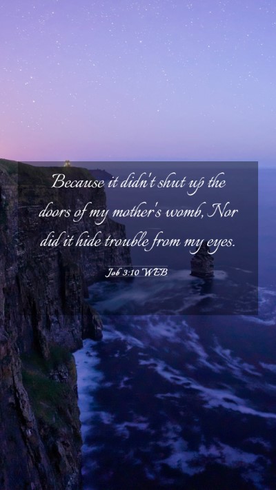 Picture 03 - Job 3:10 WEB Mobile Phone Wallpaper - Because it didn't shut up the doors of my - Mobile Bible Verse Wallpaper