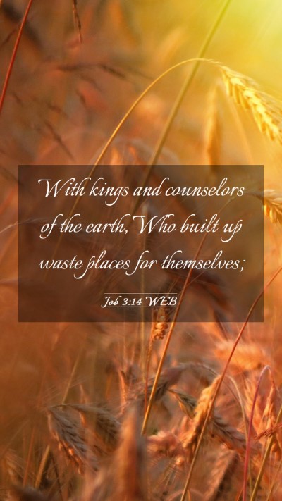 Picture 03 - Job 3:14 WEB Mobile Phone Wallpaper - With kings and counselors of the earth, Who built - Mobile Bible Verse Wallpaper