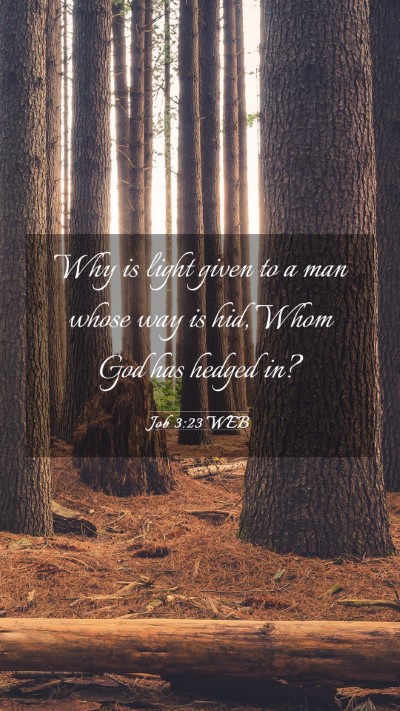Picture 03 - Job 3:23 WEB Mobile Phone Wallpaper - Why is light given to a man whose way is hid, - Mobile Bible Verse Wallpaper