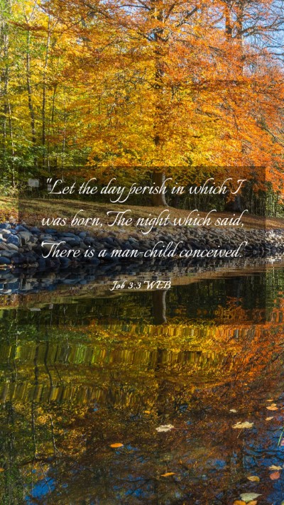 Picture 03 - Job 3:3 WEB Mobile Phone Wallpaper - 