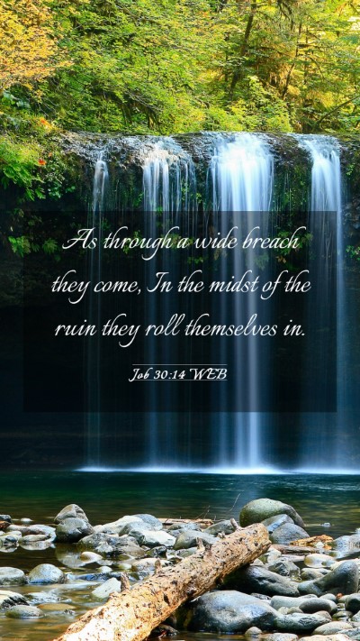 Picture 03 - Job 30:14 WEB Mobile Phone Wallpaper - As through a wide breach they come, In the midst - Mobile Bible Verse Wallpaper