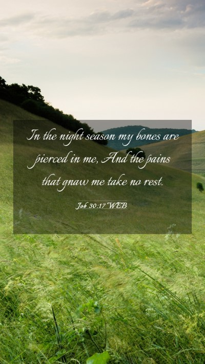 Picture 03 - Job 30:17 WEB Mobile Phone Wallpaper - In the night season my bones are pierced in me, - Mobile Bible Verse Wallpaper