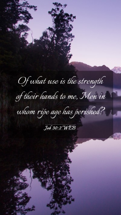 Picture 03 - Job 30:2 WEB Mobile Phone Wallpaper - Of what use is the strength of their hands to me, - Mobile Bible Verse Wallpaper