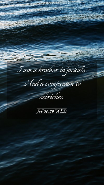Picture 03 - Job 30:29 WEB Mobile Phone Wallpaper - I am a brother to jackals, And a companion to - Mobile Bible Verse Wallpaper